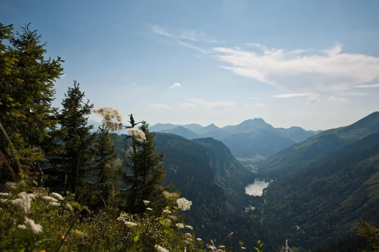 Frühstückspension Chalet Sur Les Monts Morzine Montriond